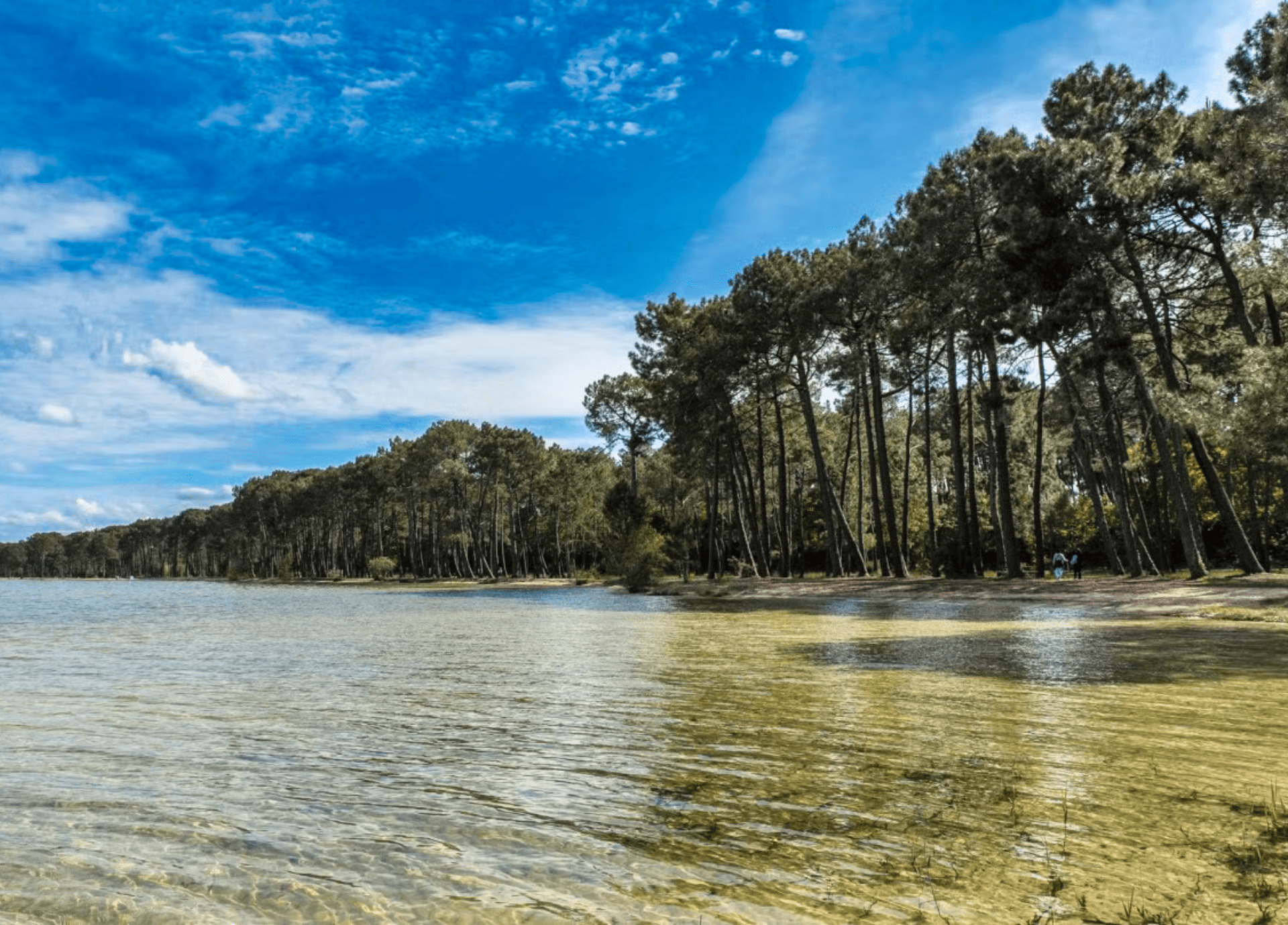 Lac Biscarosse